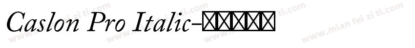 Caslon Pro Italic字体转换